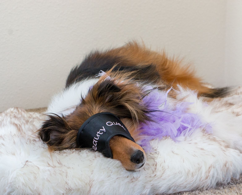 Nîrwa Faux Fur Orthopedic Dog Bed