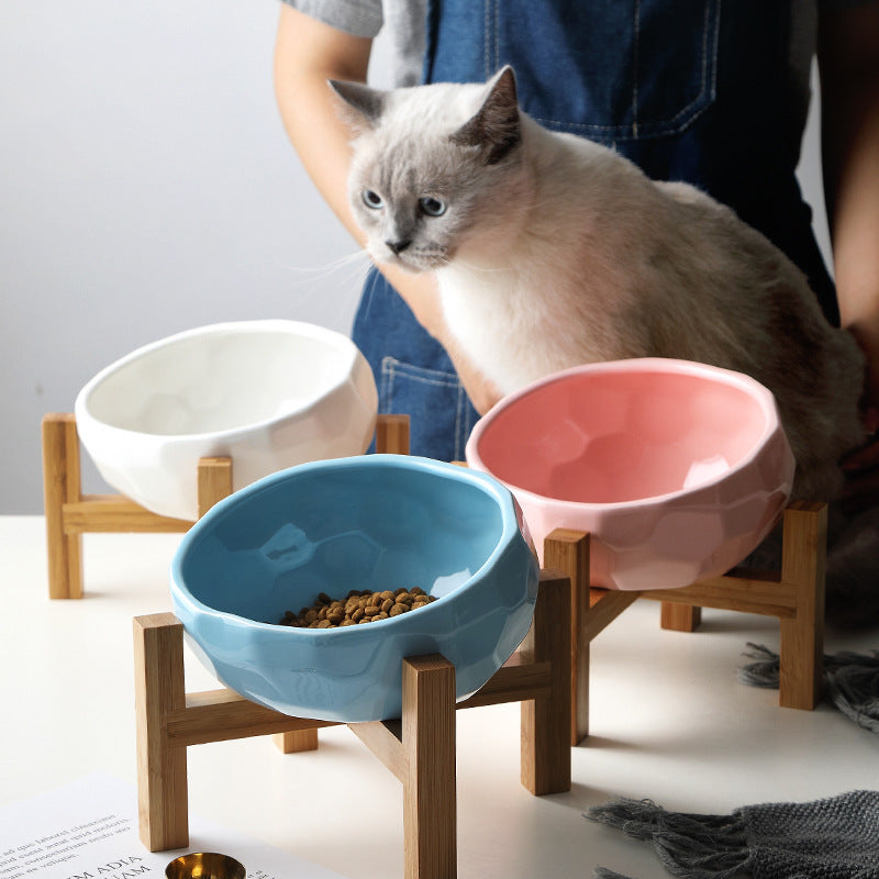 Cuima Ceramic Pet Bowl  Cat bowls, Pet bowls, Pets